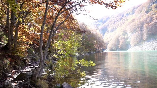Autumn forest reflected in a tranquil lake
