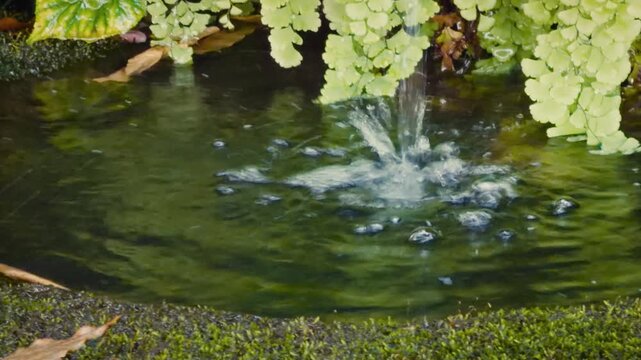 cinematic horizontal shot panning right on a small waterfall flowing into a tranquil pond surrounded by lush green ferns and foliage in a serene garden