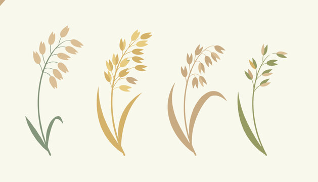 Four stylized oat stalks swaying on a cream colored background