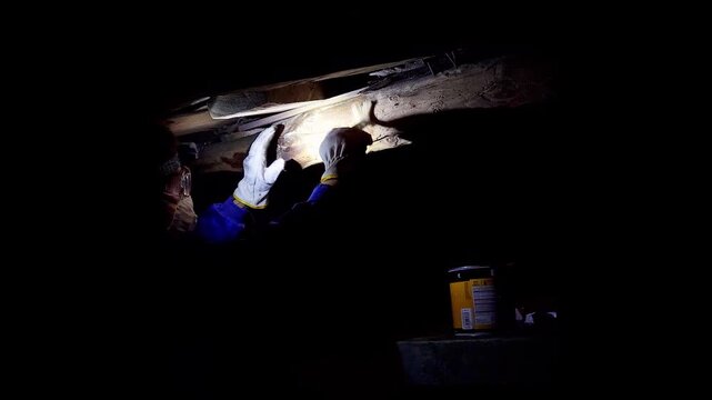 Professional exterminator applying a protective coating to a wooden beam. Pest control specialist treating wood for termites and woodworms