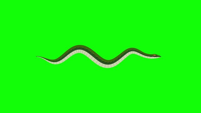 Animated Green Snake Slithering Across a Vibrant Green Screen