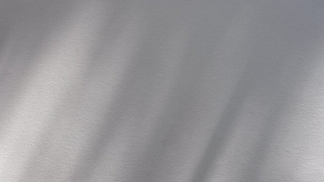 Windblown foliage shadow swaying gently against neutral white wall under diffused daylight with copy space for soothing aesthetic backdrop