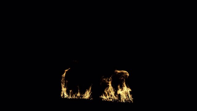 Pole Fire Flames Isolated on Transparent Background
