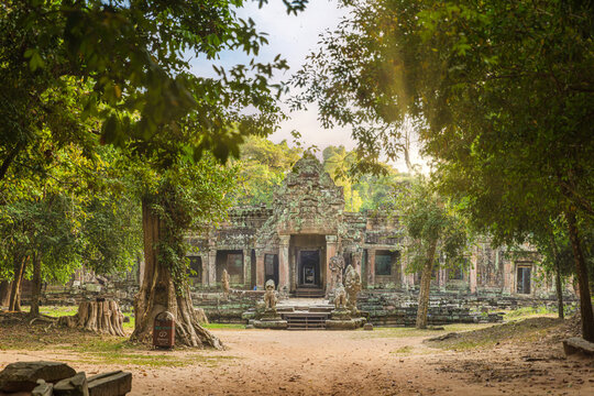 Ancient Ta Prohm Temple Ruins in the Angkor Jungle Bathed in Sunlight
