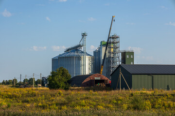 Tall silos stand proudly among fields, displaying a blend of silver and green under the vast blue sky, signifying a hardworking farm community © ProStockPhoto