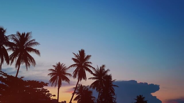 silhouette of palm trees against vibrant orange and purple sunset sky, tropical coastal landscape view with warm sun flare during dusk, 4k timelapse hyperlapse