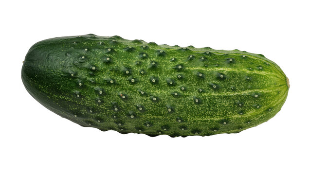 Green bumpy cucumber with white seeds, isolated on transparent background