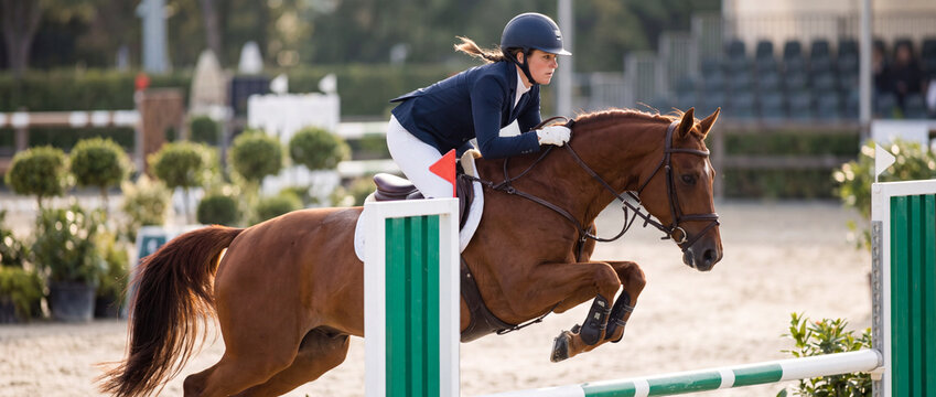 Show jumping rider on chestnut horse clearing obstacle hurdle during equestrian competition, capturing dynamic outdoor athletic action for sports journalism and tournament promotion