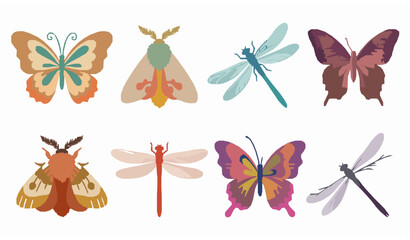 Colorful butterfly moth and dragonfly vector illustration set with cute flying insects © MAKSUDUR