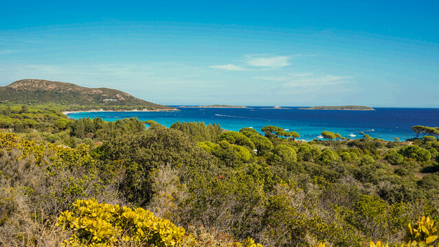 La costa tra Bonifacio e porto Vecchio &egrave; un susseguirsi di calette e spiagge dalle acque cristalline, golfi e fiordi circondati da bianche scogliere di arenite.