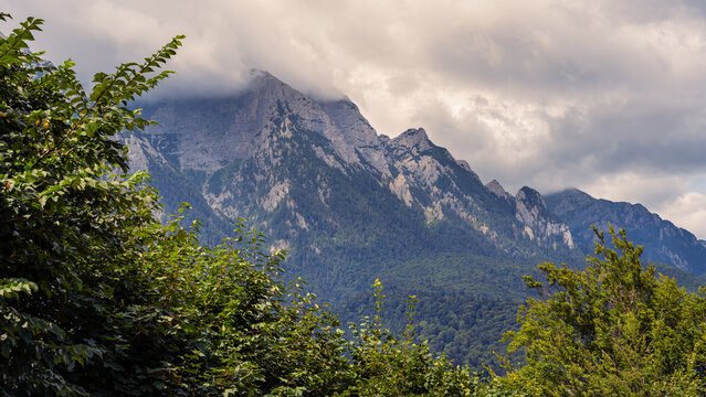 Cloud covered Bucegi Mountains rising above dense green foliage near Cantacuzino Castle in Busteni Romania