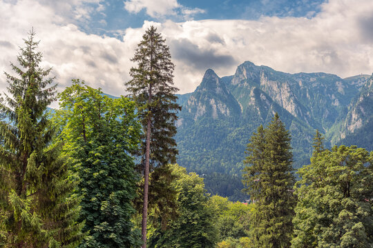 Forest and rocky peaks of the Bucegi Mountains under a cloudy sky in Prahova Valley Romania