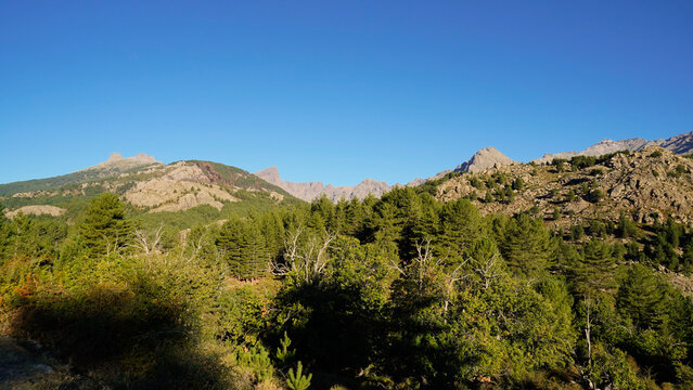 La strada che collega Corte alla costa occidentale della Corsica attraversa panorami di montagna mozzafiato aperti su grandi vallate per poi insinuarsi nello stretto Canyon della Ruda.