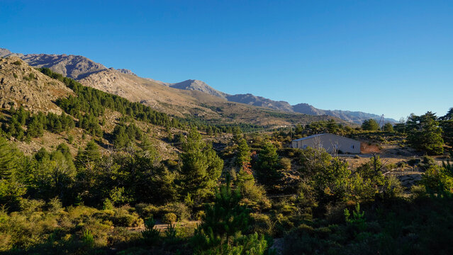 La strada che collega Corte alla costa occidentale della Corsica attraversa panorami di montagna mozzafiato aperti su grandi vallate per poi insinuarsi nello stretto Canyon della Ruda.