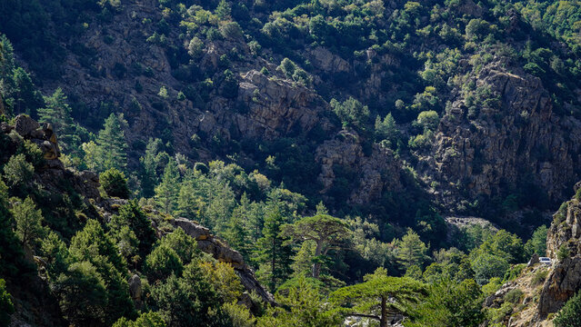 La strada che collega Corte alla costa occidentale della Corsica attraversa panorami di montagna mozzafiato aperti su grandi vallate per poi insinuarsi nello stretto Canyon della Ruda.