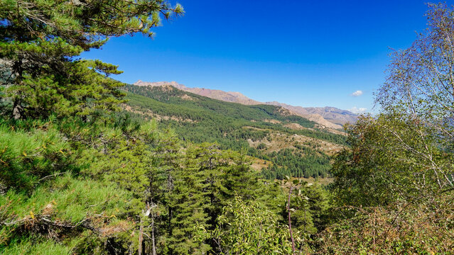 La strada che collega Corte alla costa occidentale della Corsica attraversa panorami di montagna mozzafiato aperti su grandi vallate per poi insinuarsi nello stretto Canyon della Ruda.