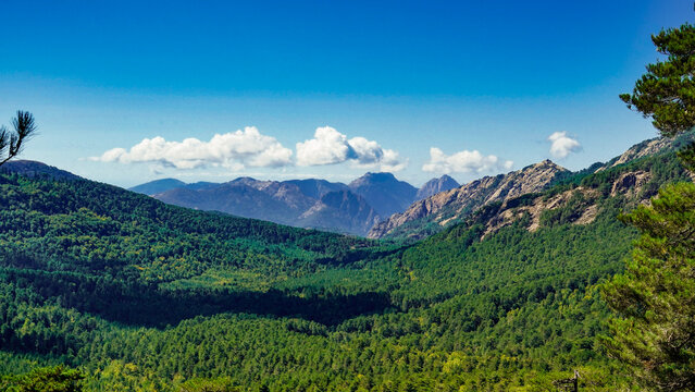 La strada che collega Corte alla costa occidentale della Corsica attraversa panorami di montagna mozzafiato aperti su grandi vallate per poi insinuarsi nello stretto Canyon della Ruda.