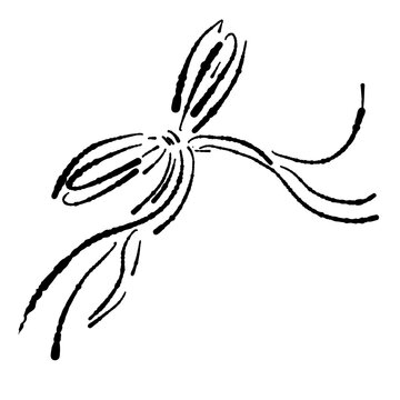 Monochrome Ribbon Bow Vector Illustration