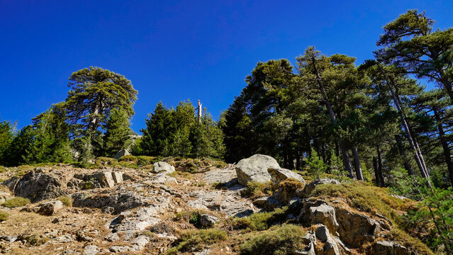 La strada che collega Corte alla costa occidentale della Corsica attraversa panorami di montagna mozzafiato aperti su grandi vallate per poi insinuarsi nello stretto Canyon della Ruda.