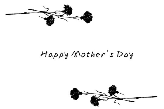 Carnation Flower Text Frame Template Vector