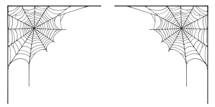 Vector illustration of a spider web