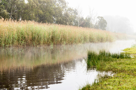misty foggy sunrise and reflections over Klein River , Stanford, South Africa