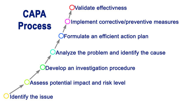 CAPA Process