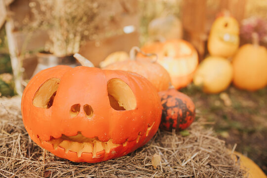 Ghost pumpkins on Halloween. ead Jack on an autumn background. Holiday outdoor decorations