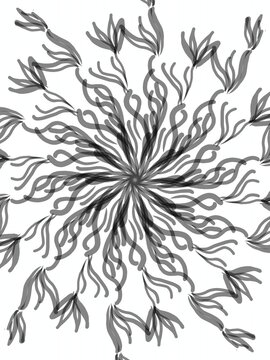 Set of black flower and isolated on white background