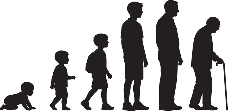 Human Life Cycle Stages Showing Growth from Childhood to Old Age Silhouette Vector 
