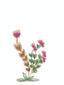 Set of black flower and isolated on white background