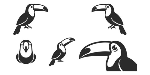 Fototapeta premium Set of black and white toucan bird illustrations in various poses and angles for graphic design