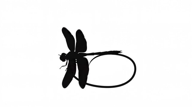 Dragonfly silhouette animation looping in graceful flight across white background motion video footage clip