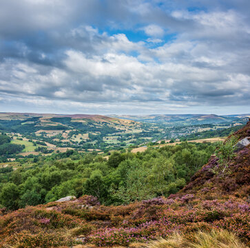Stunning Peak District landscape from Surprise View with vibrant heather and dappled sunlight over the hills
