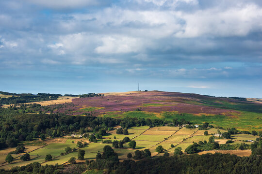Stunning Peak District landscape from Surprise View with vibrant heather and dappled sunlight over the hills