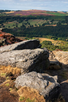 Stunning Peak District landscape from Surprise View with vibrant heather and dappled sunlight over the hills
