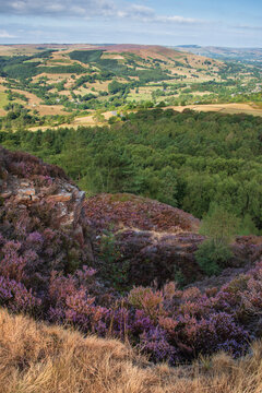 Stunning Peak District landscape from Surprise View with vibrant heather and dappled sunlight over the hills