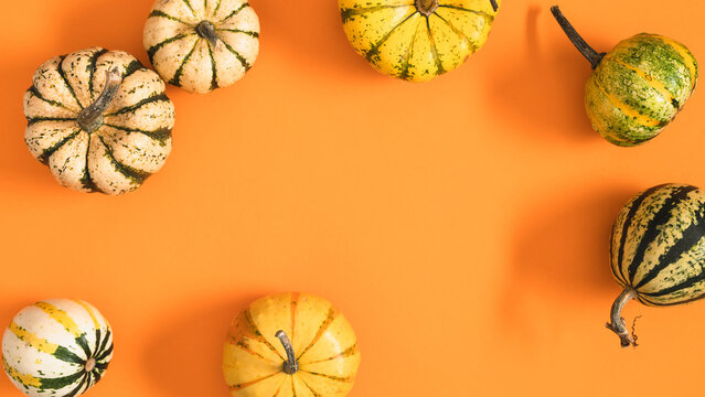 Thanksgiving day horizontal backdrop with mini pumpkins arranged as circle frame on orange background. Flat lay overhead view of autumn harvest squashes with empty text space in the middle.