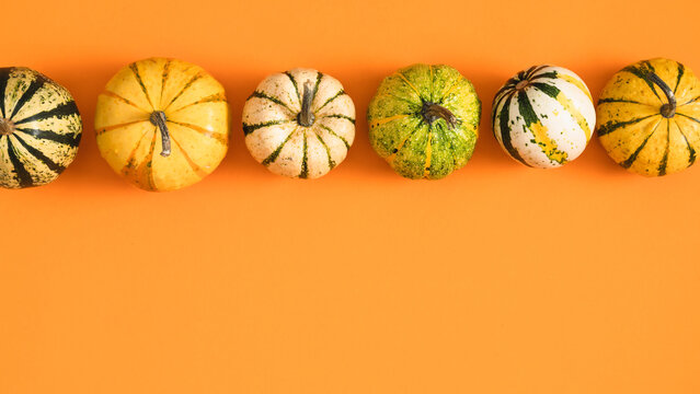Horizontal autumn background with a row of assorted decorative pumpkins on orange backdrop. Flat lay top view of seasonal squashes border with copy space for text. Thanksgiving banner layout.
