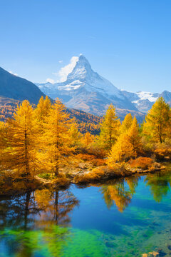 Vertical photo. Matterhorn mountain in Switzerland reflects in a calm alpine lake. Scenic mountain landscape with colorful autumn trees under a clear sky in daytime.