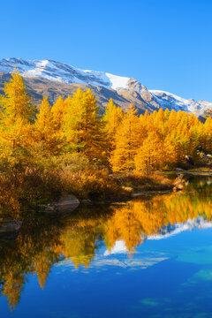 Vertical photo. Mountain landscape with a calm lake reflecting autumn trees with colorful fall foliage. Clear daytime view of water reflection, forest, and mountain peaks.