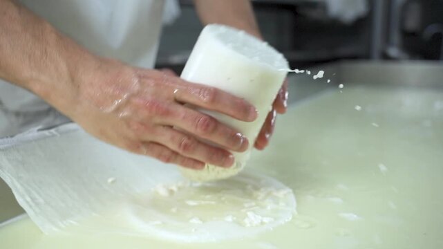 close up of cheese maker hands shaping and processing curd into cheese shape with a cloth, dairy plant cheese production, hand made food and craftsman