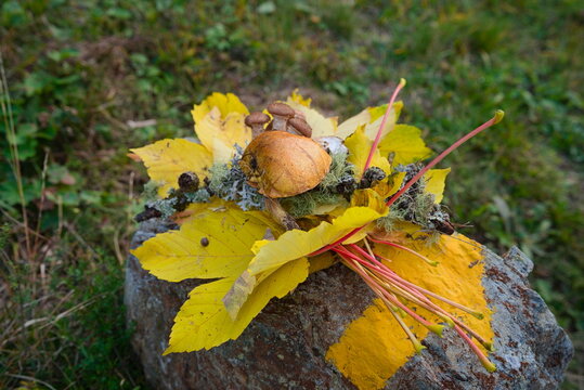 Composizione autunnale