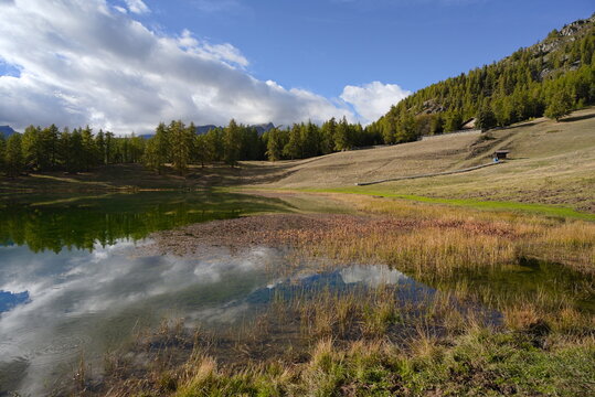 Lado di Lod - Chamois