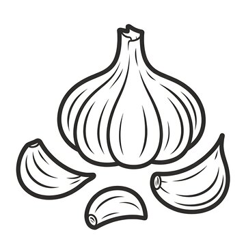 Black and white line art illustration of a garlic bulb and individual cloves