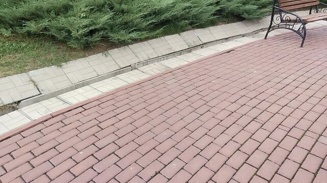 Red brick paved courtyard with garden path and bench in outdoor setting