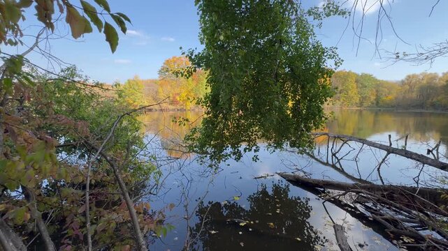 lake in the forest
