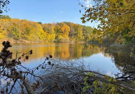 autumn in the park