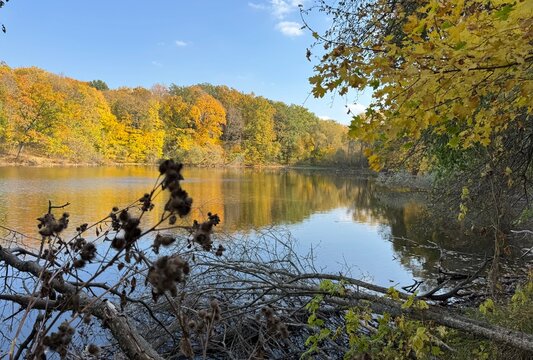 lake in the forest