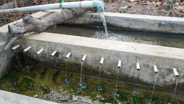 Pure clean mountain water streaming through PVC pipe distribution system in Mount Muria rural area, Central Java, Indonesia, delivering clear natural stream flow for local residential village homes.